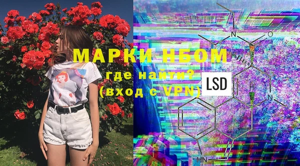 трава Аркадак