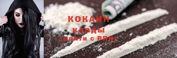 шишки Армянск