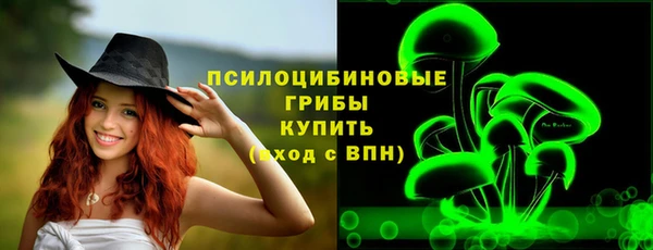 mdpv Янаул