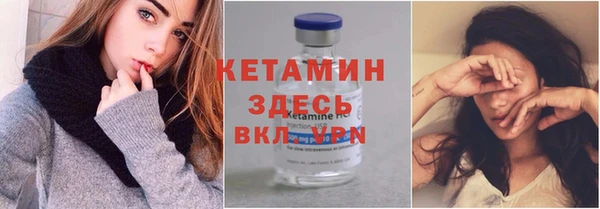 трава Аркадак
