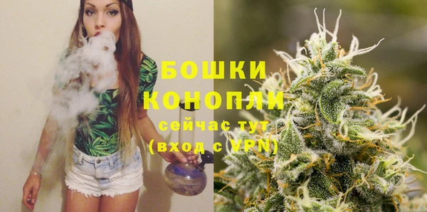 трава Аркадак