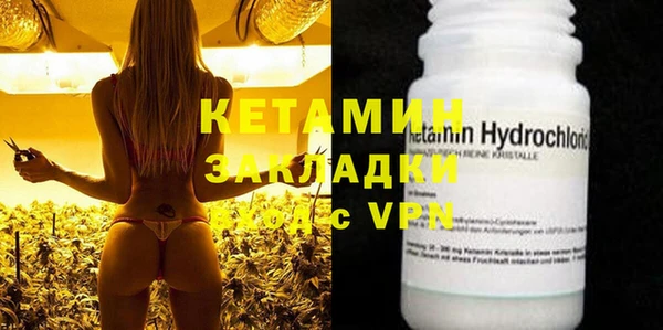 трава Аркадак