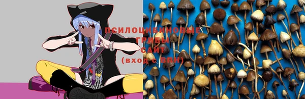 тгк Арсеньев